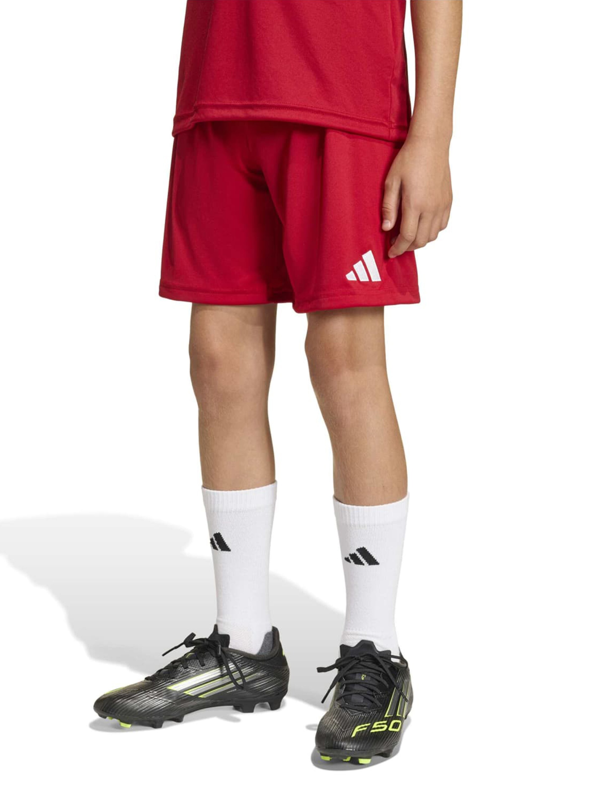 ADIDAS PERFORMANCE tavaline Spordipüksid 'ENT26', värv punane: eest vaates