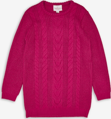 Threadgirls Jurk 'Thistle' in Roze: voorkant