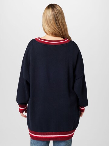 Tommy Hilfiger Curve Sweater in Blue