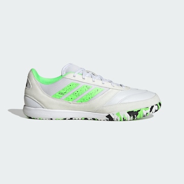 Chaussure de foot 'Top Sala Competition 2' ADIDAS PERFORMANCE en blanc