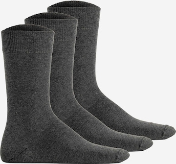 Calzino di Hudson in grigio: frontale