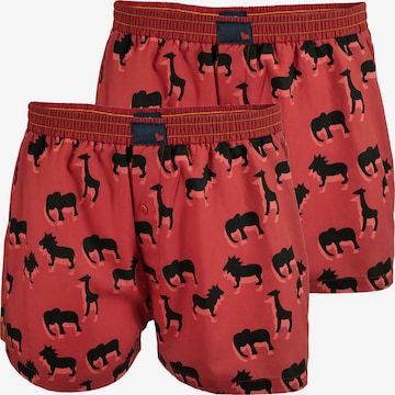 UNABUX Boxershorts 'Flying Falcon' in Rot: Vorderseite