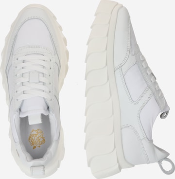 Apple of Eden Sneakers 'Blair' in White