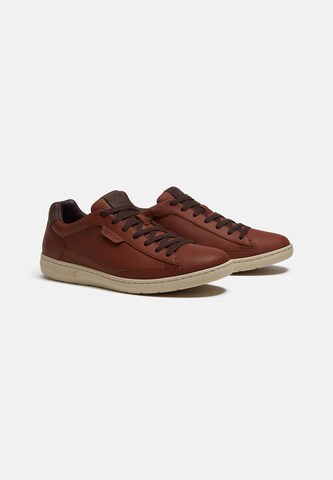 TIMBERLAND Sneakers in Brown