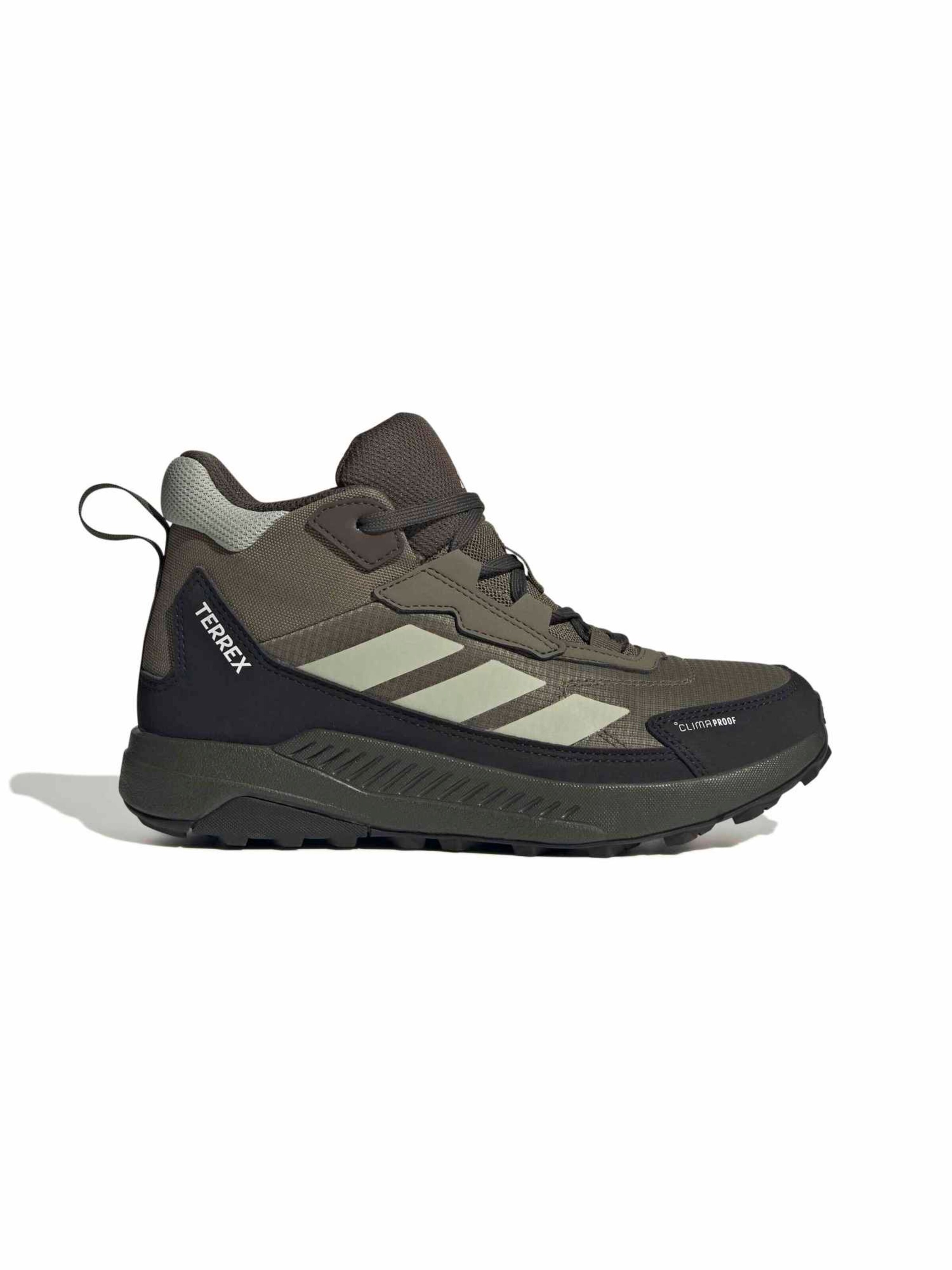 ADIDAS TERREX Kozaki 'ANYLANDER' w kolorze zielony