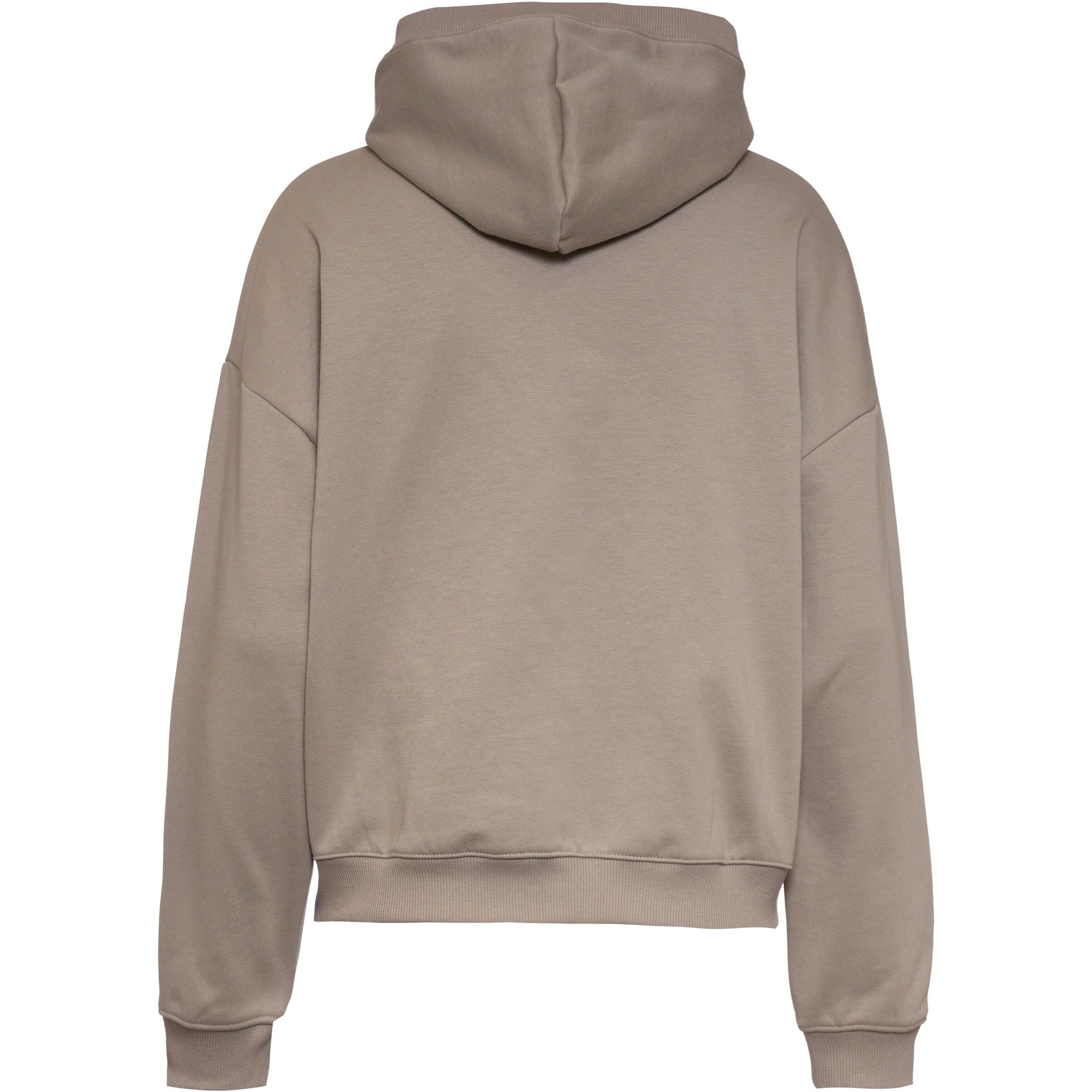 UNDER ARMOUR Sweatshirt in Brown