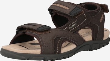 GEOX Hiking Sandals 'Strada' in Brown: front