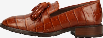 Chaussure basse Wonders en marron : devant