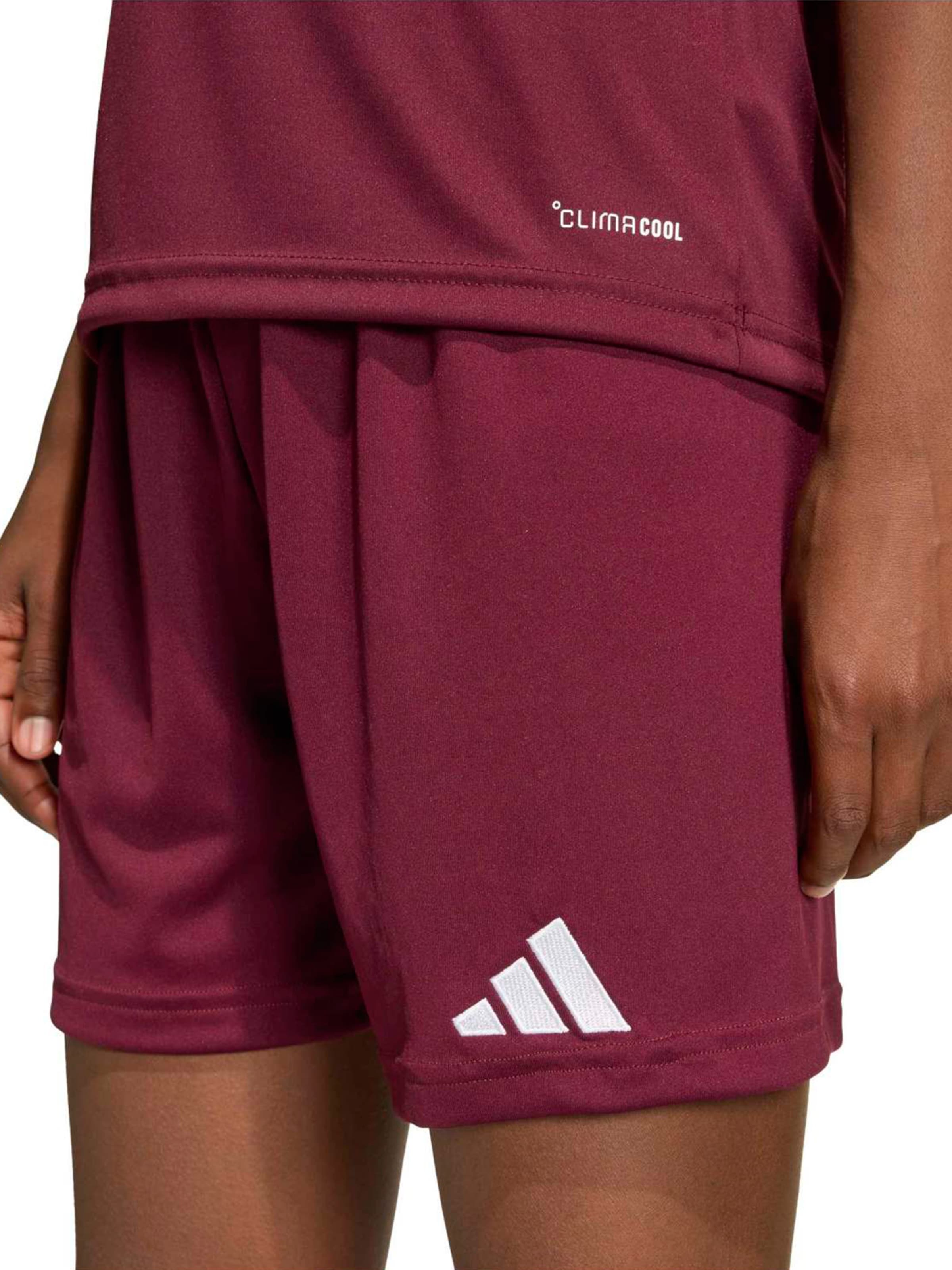 ADIDAS PERFORMANCE - regular Pantalón deportivo 'ENT26' en rojo
