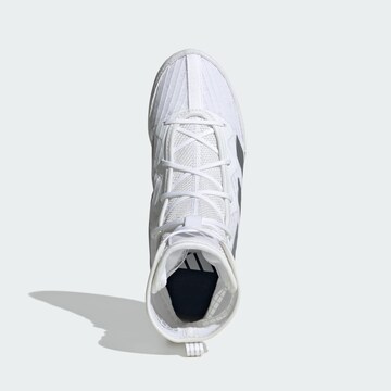 ADIDAS PERFORMANCE Sportschuh 'Box Hog 4' in Weiß