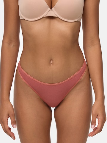 Nur Die Thong in Mixed colors: front
