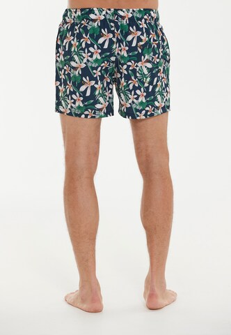 Cruz Board Shorts 'Obi Van' in Green