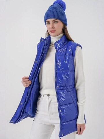 Gilet Bigdart en bleu