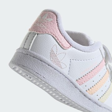 ADIDAS ORIGINALS Sneakers ' Superstar  ' in Wit