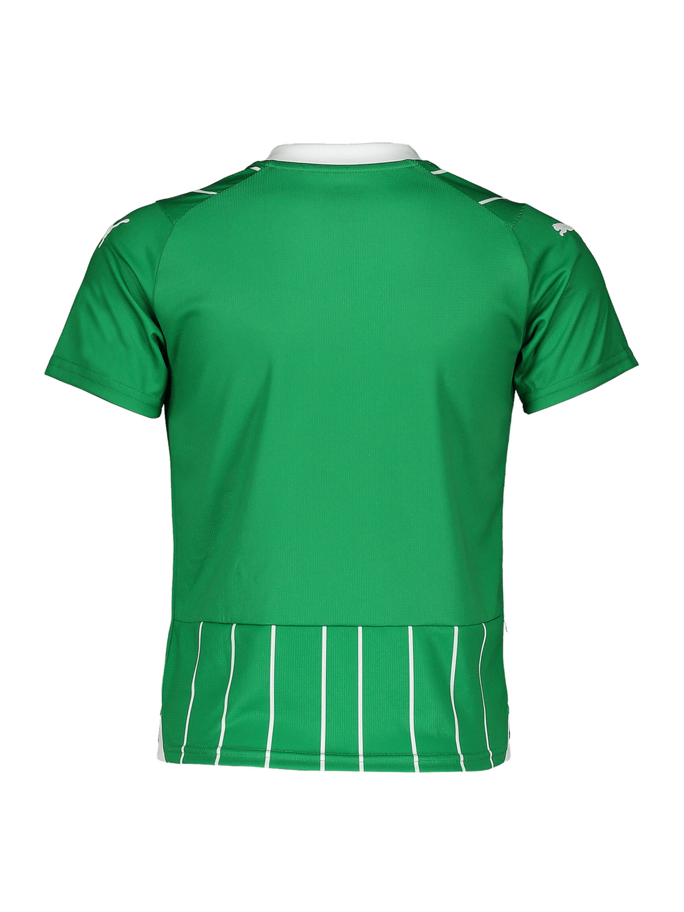 PUMA Funktionsshirt in Grün