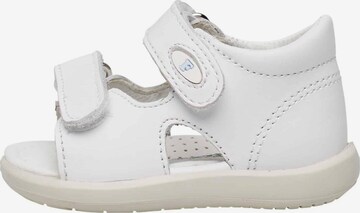 Falcotto Open shoes 'NEW RIVER' in White: front