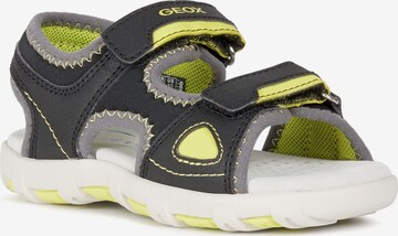 Chaussures ouvertes 'Pianeta' GEOX en noir