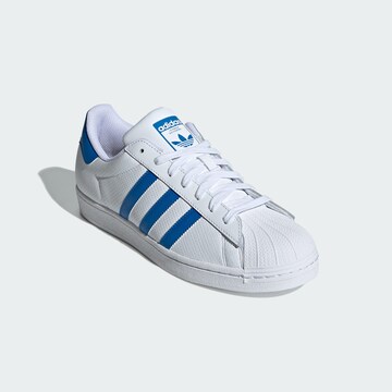 Baskets basses 'Superstar ' ADIDAS ORIGINALS en blanc