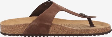 GEOX T-Bar Sandals in Brown