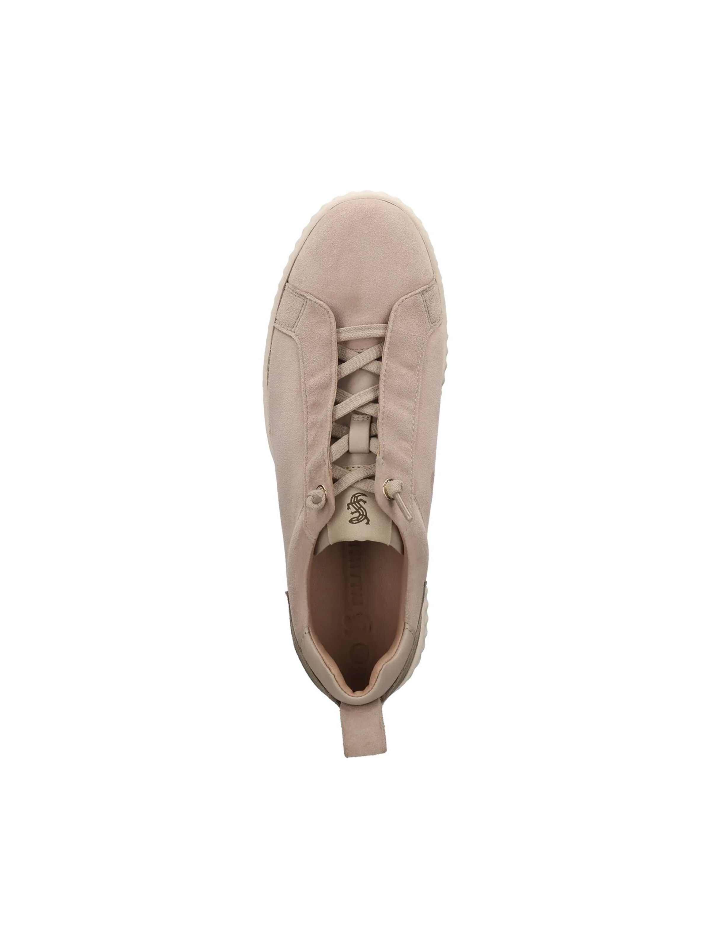 SALAMANDER Sneaker in Beige