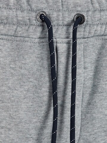 JACK & JONES Regular Pants in Grey