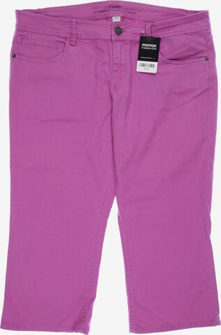 s.Oliver Shorts XXL in Pink: predná strana