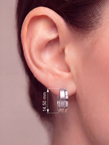 Jobo Earrings in Silver