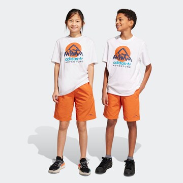 ADIDAS ORIGINALS Regular Sportbroek 'Adventure' in Oranje