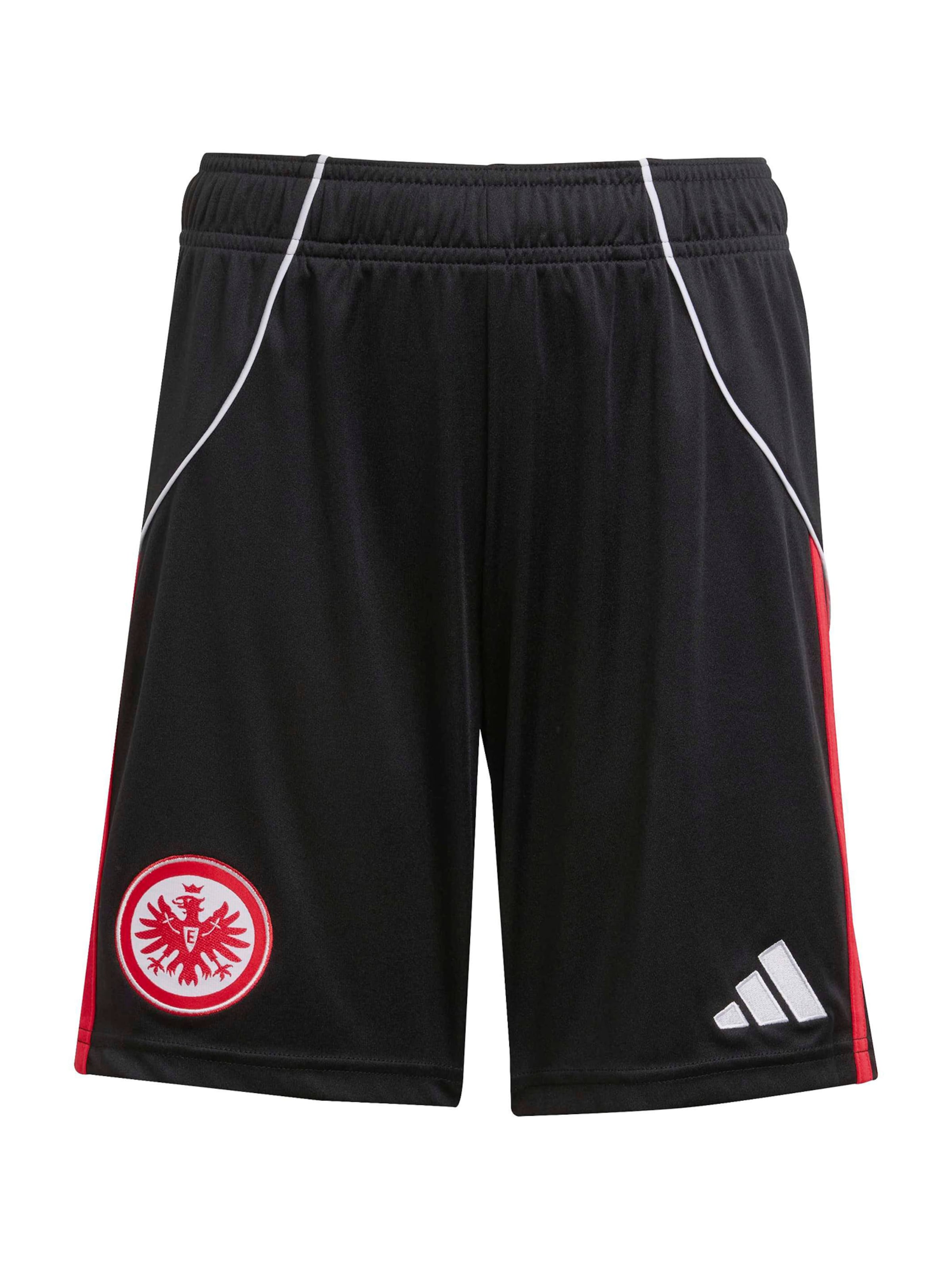 ADIDAS PERFORMANCE Обычный Спортивные штаны 'Eintracht Frankfurt 25/26' в Черный: спереди