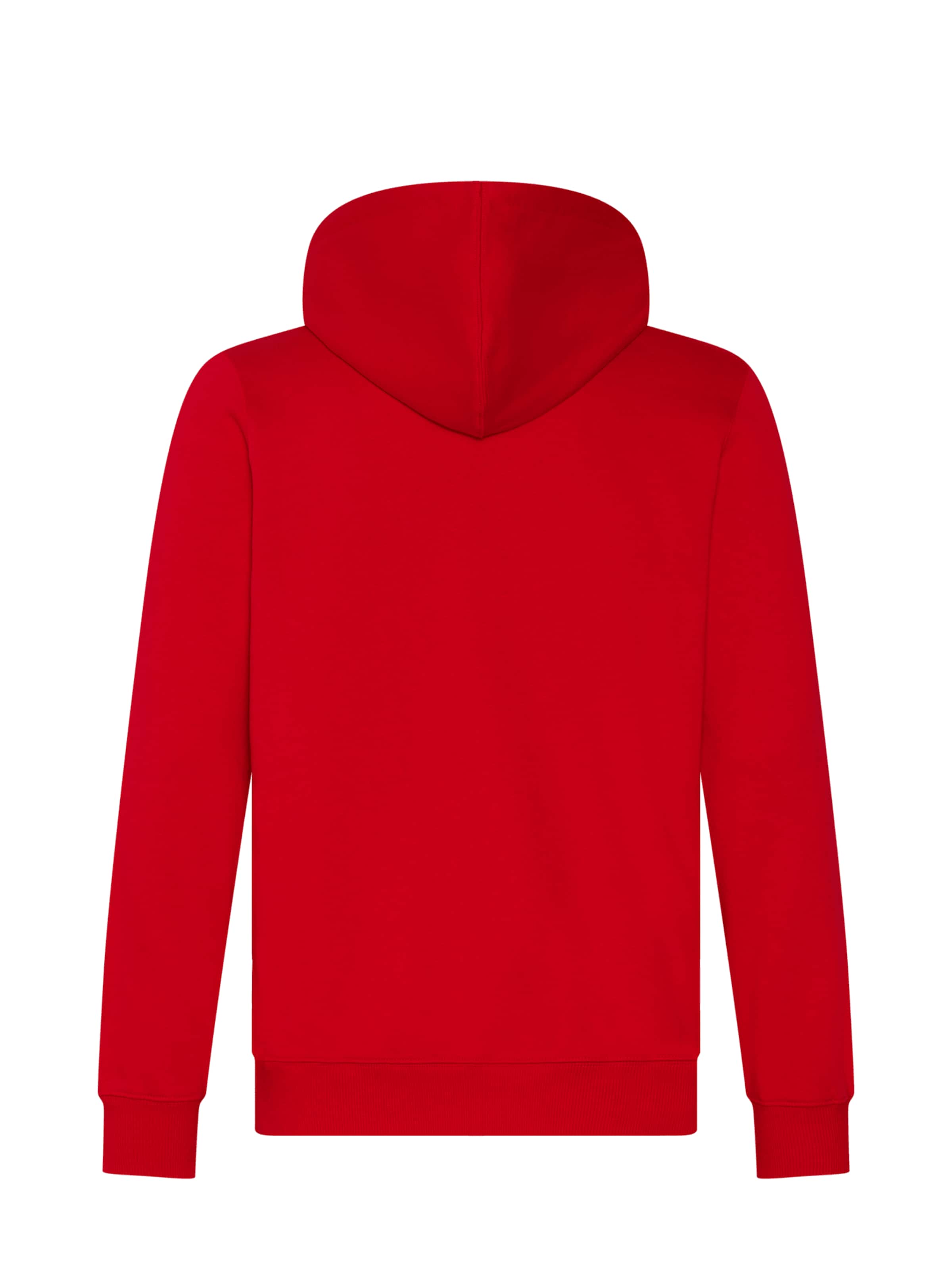 FC BAYERN MÜNCHEN Athletic Zip-Up Hoodie 'Essentials' in Red