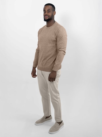 Vercate Pullover 'No. 16' in Braun