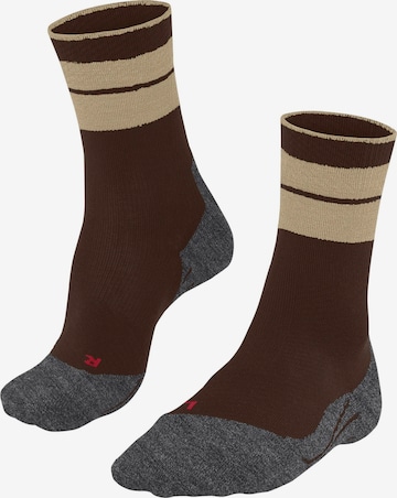 FALKE Sportsocken 'TK Compression Stabilizing' in Braun: Vorderseite