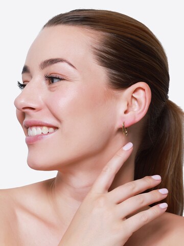 Boucles d'oreilles Heideman en or : devant