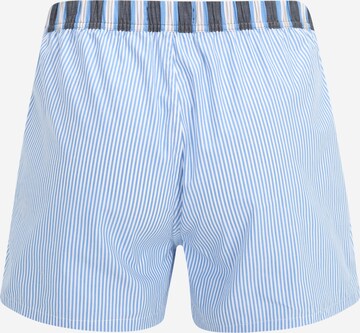 Boxer di TOMMY HILFIGER in blu