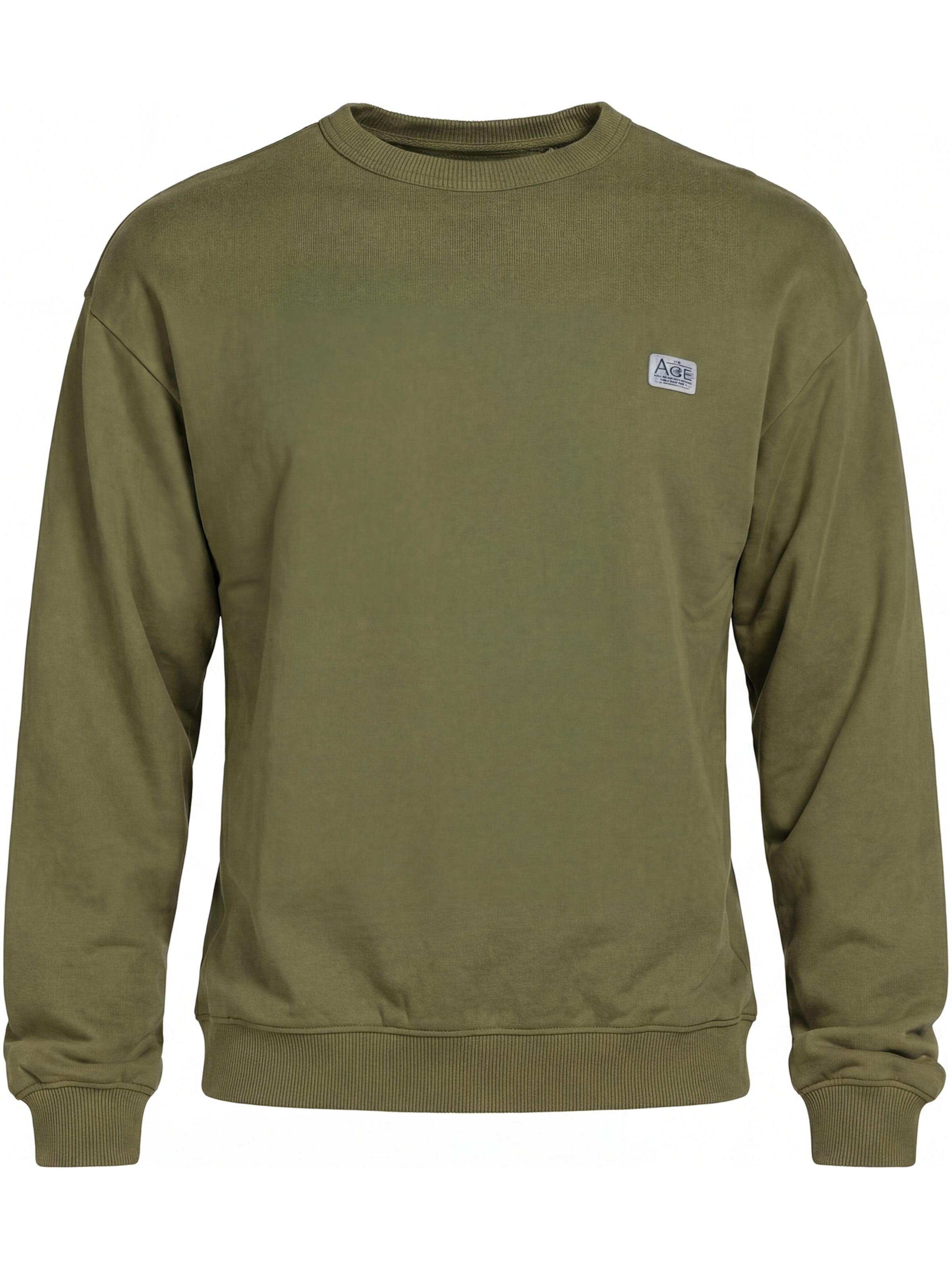 Carrera Jeans Sweatshirt 'Replica Boxy'‌‌‌‌‌‌‌‌‌ in Grün: Vorderseite