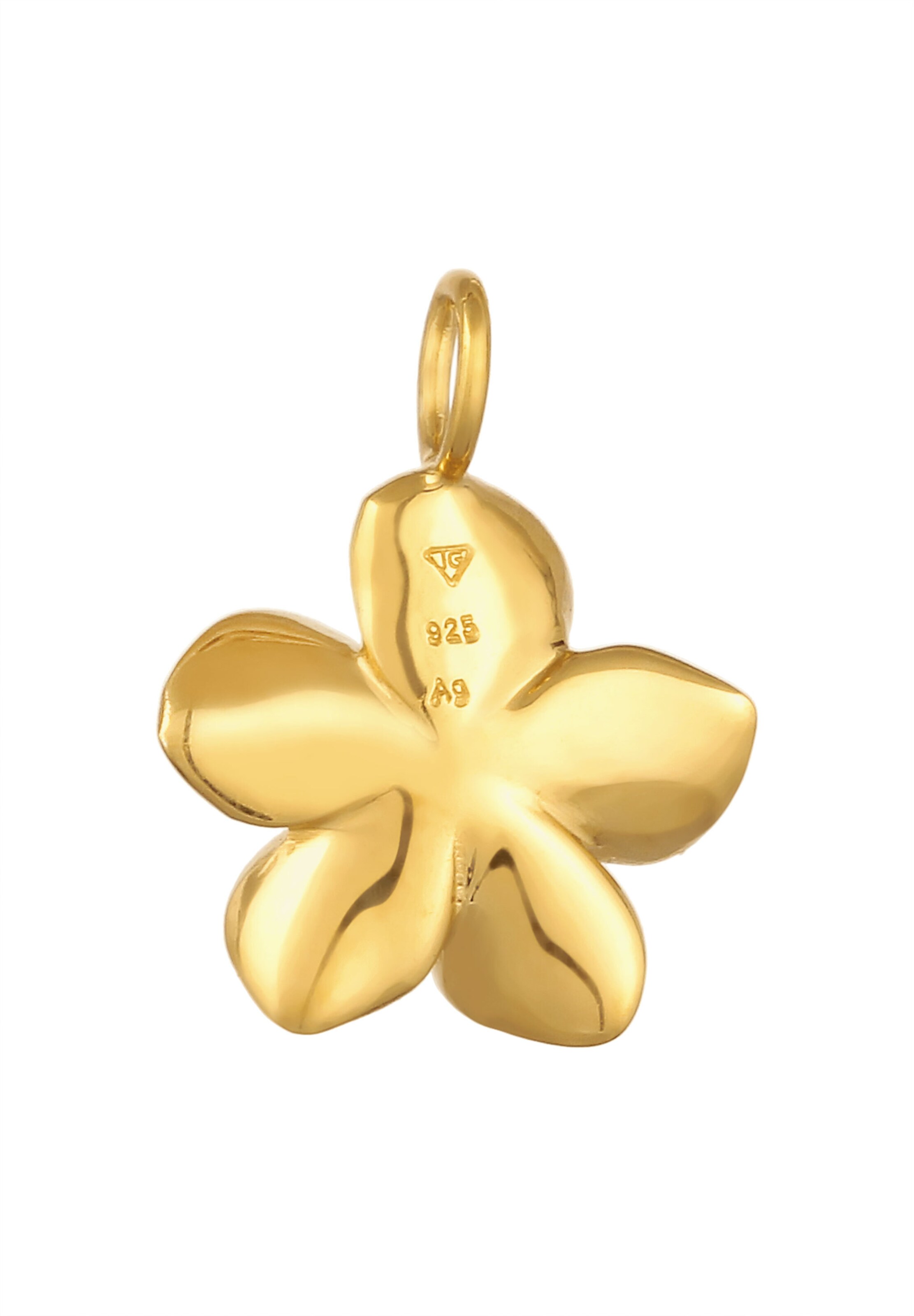 auksinė ELLI Pakabukas