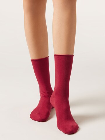 CALZEDONIA Socken in Rot: Vorderseite