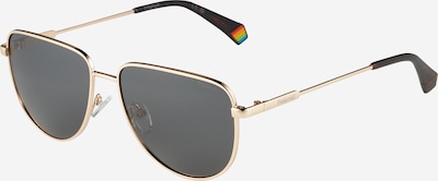 Polaroid Lunettes de soleil '6196/S/X' en or / noir, Vue avec produit