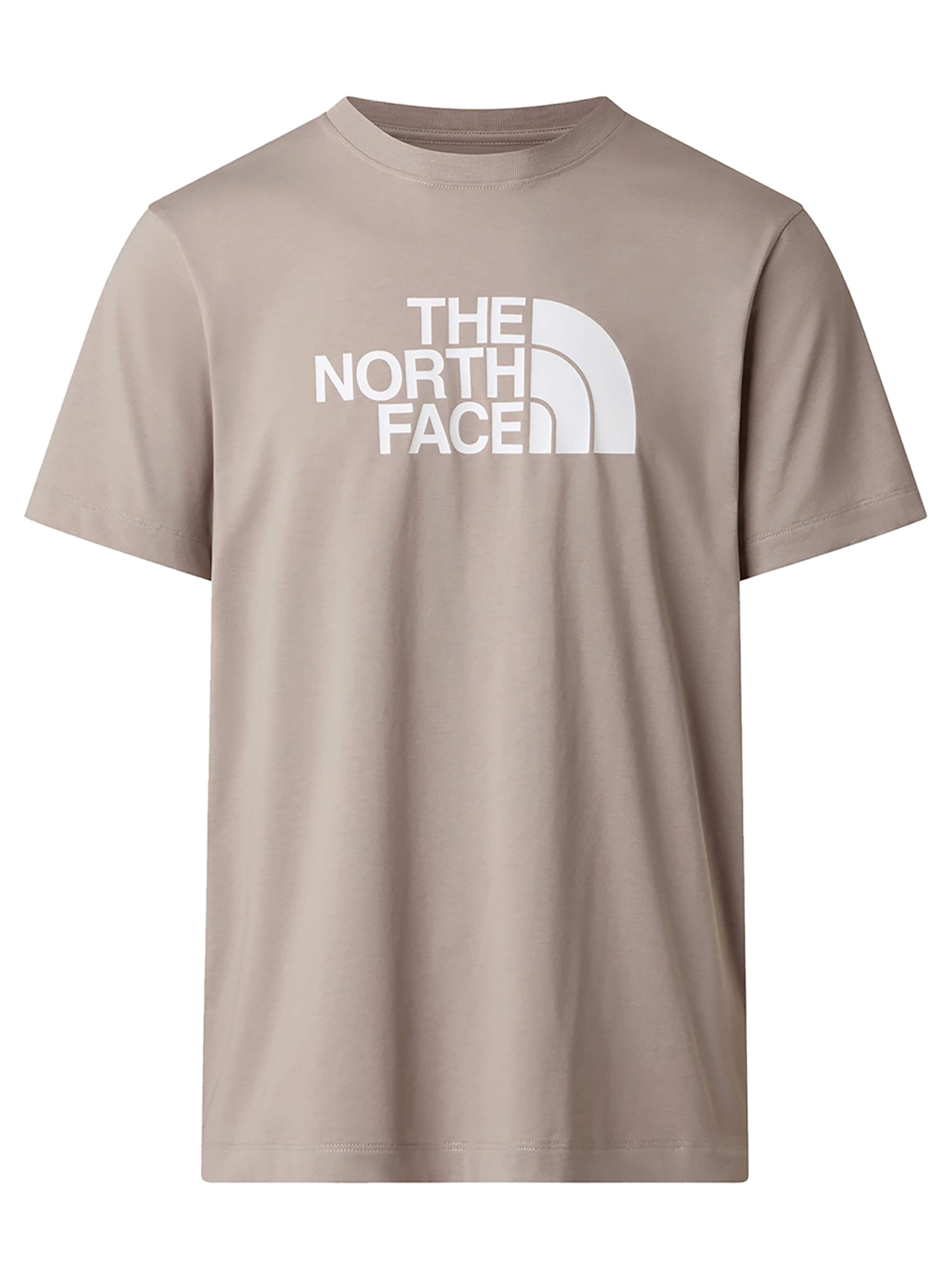 THE NORTH FACE Shirt 'Evolution Half Dome' in L in Stone, Item view