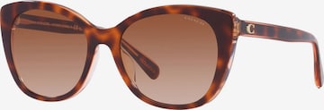 Lunettes de soleil COACH en marron : devant