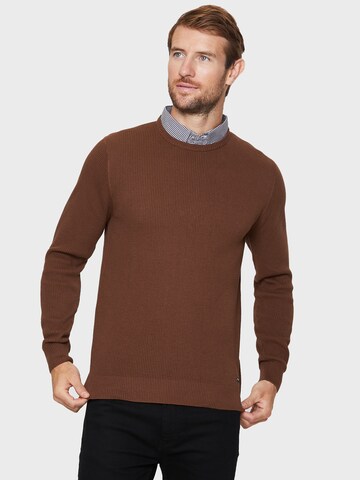 Threadbare Sweater 'Alexander' in Brown: front