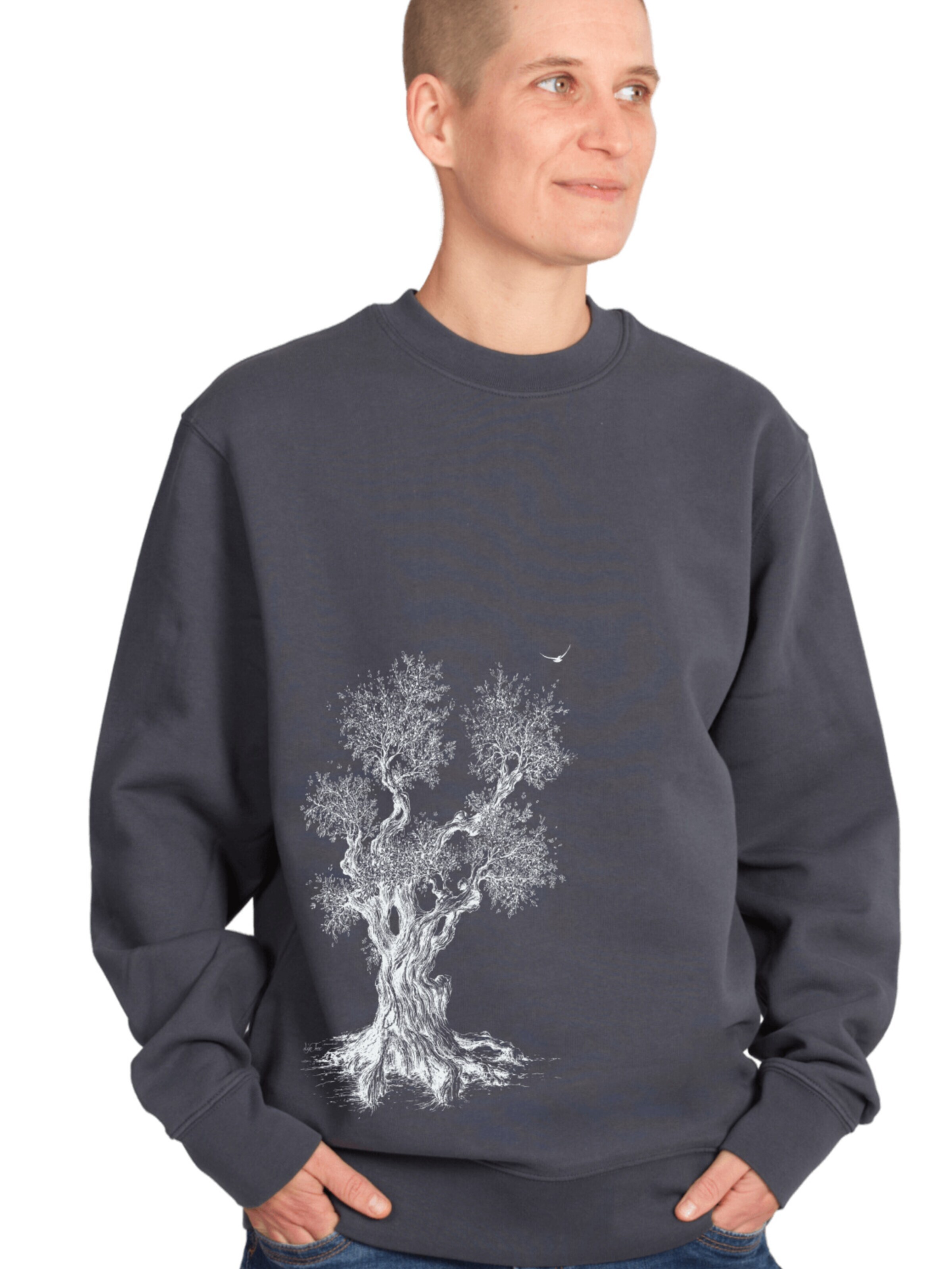 Life-Tree Sweatshirt 'Sweater Organic Olive Tree' in Grey: front