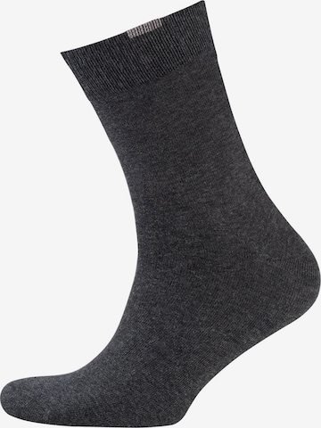 Nur Der Socken ' Passt Perfekt ' in Grau