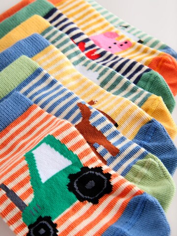 Next Socken in Mischfarben