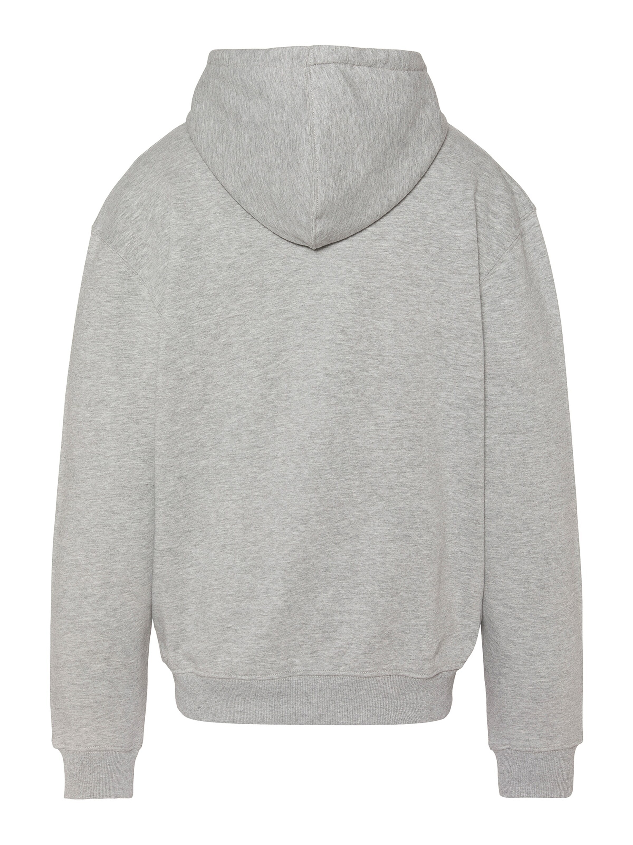 Schott NYC Sweatshirt‌‌‌‌‌‌‌‌‌ in Grau