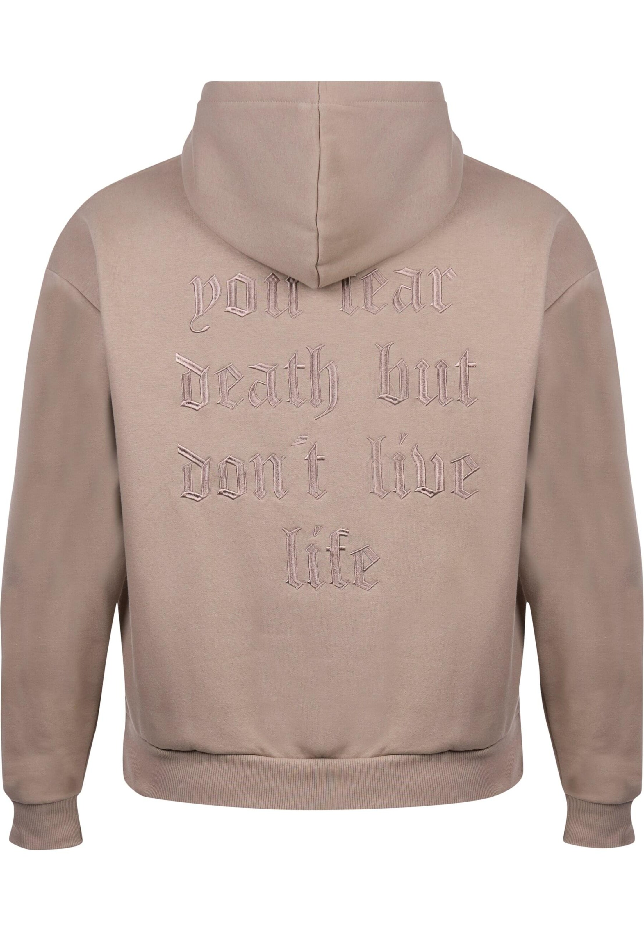 Dropsize Sweatshirt in Brown