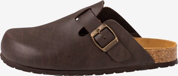 Palado Mules 'Kiel' in Brown