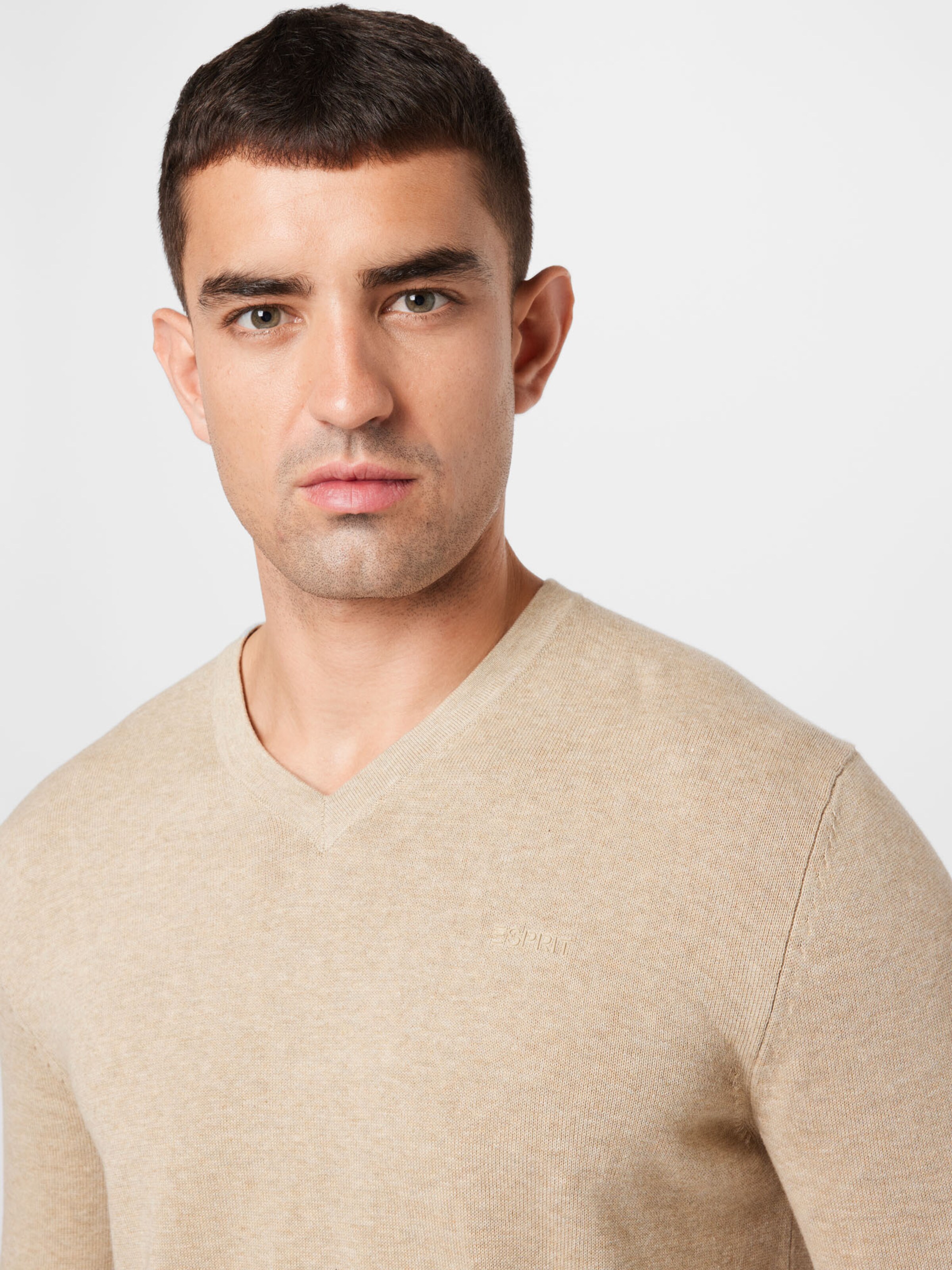 Männer Pullover & Strick ESPRIT Pullover in Sand - GD04429 Männer Pullover & Strick ESPRIT Pullover in Sand - GD04429