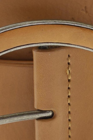 Sisley Belt in One size in Brown
