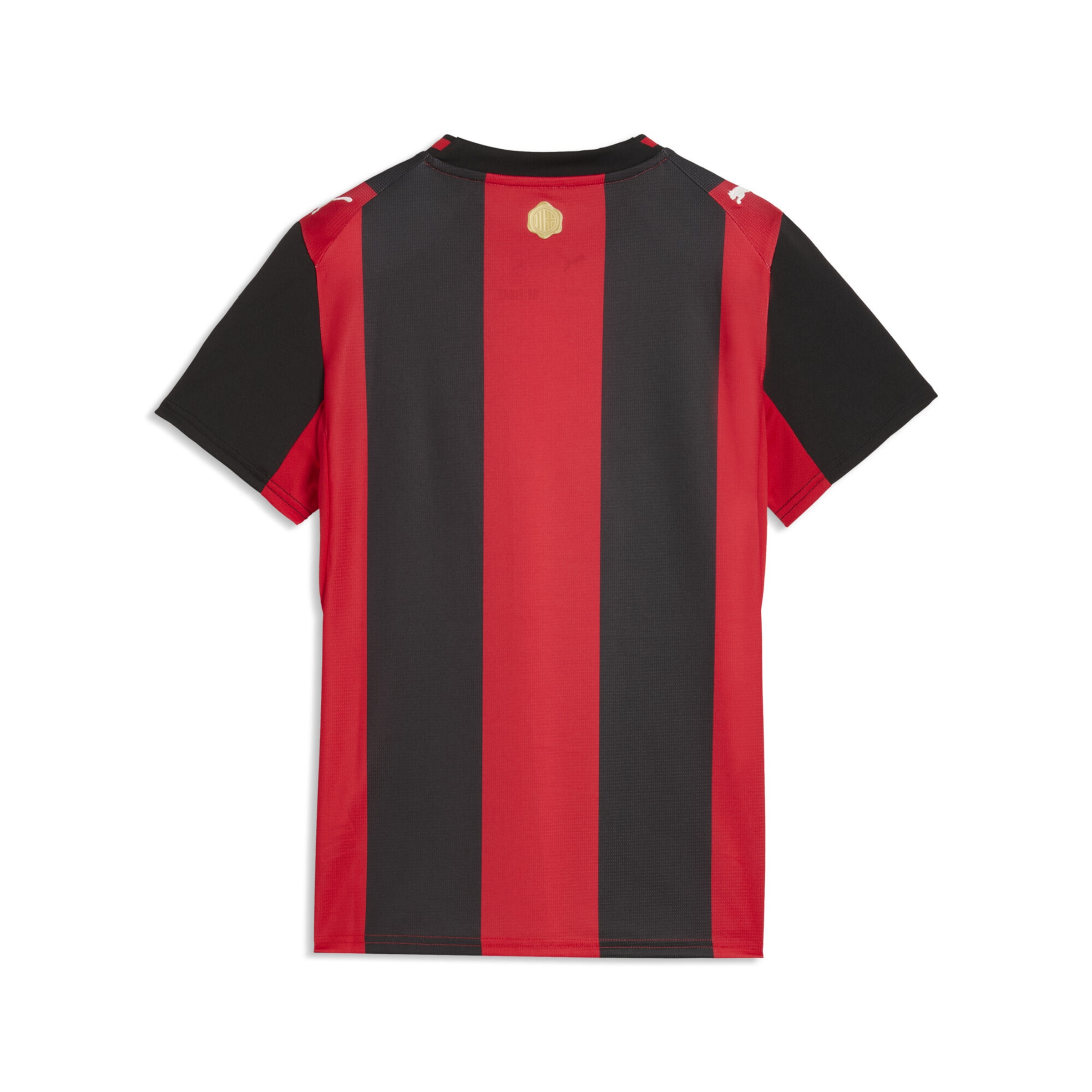 PUMA Trikot 'AC Milan 26/27' in Rot